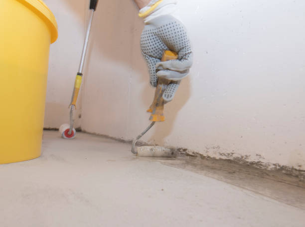 Best Termite Inspection and Treatment  in Canby, OR